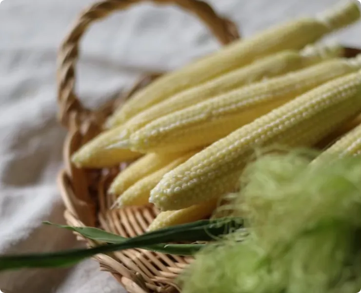 ヤングコーン/トウモロコシ