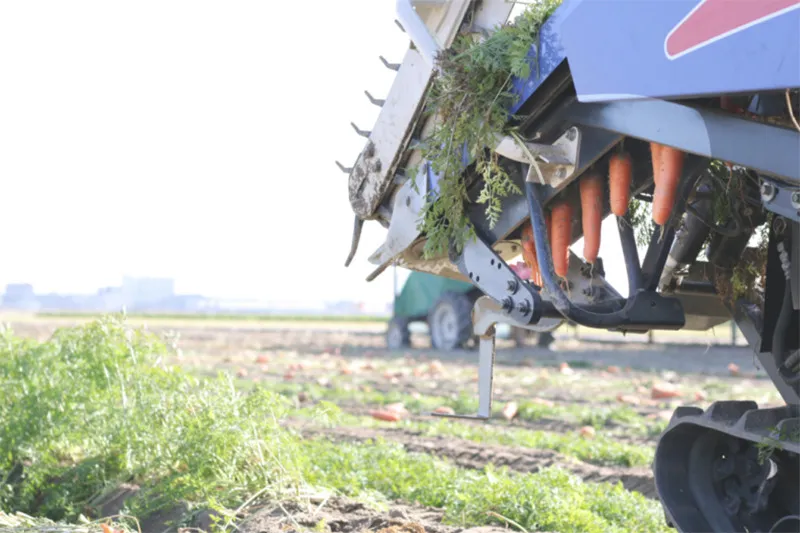 畑づくりと日々の丁寧な工夫を紹介