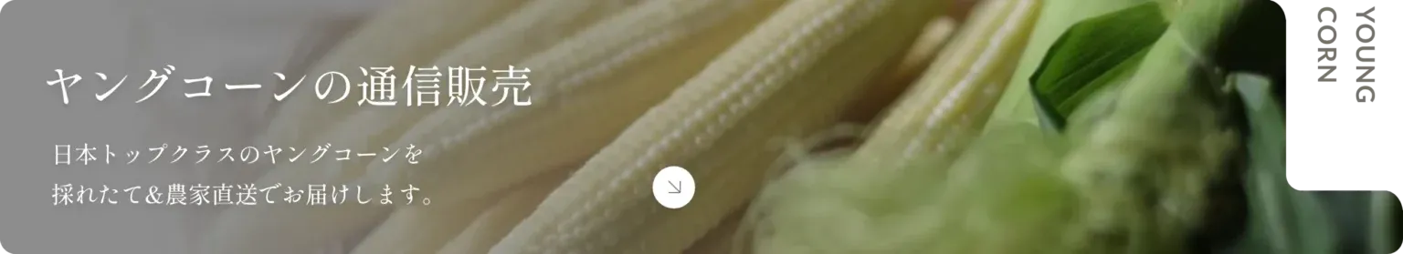 ヤングコーンの通販