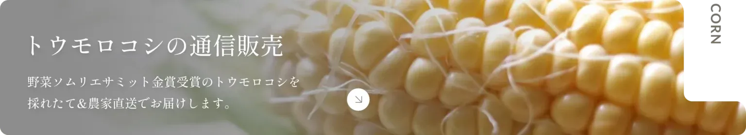 トウモロコシの通販