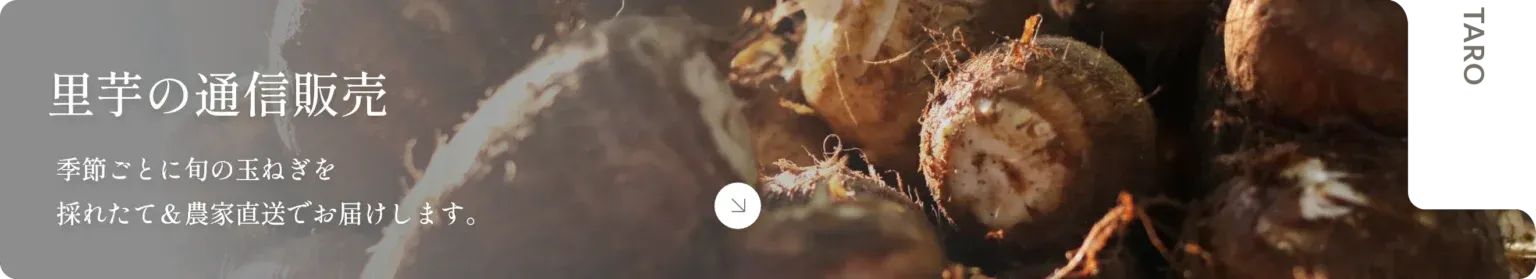 里芋の通販