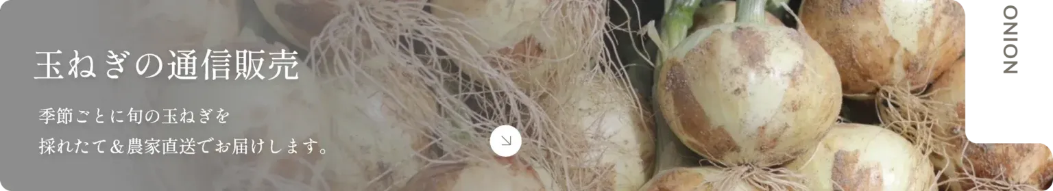 玉ねぎの通販