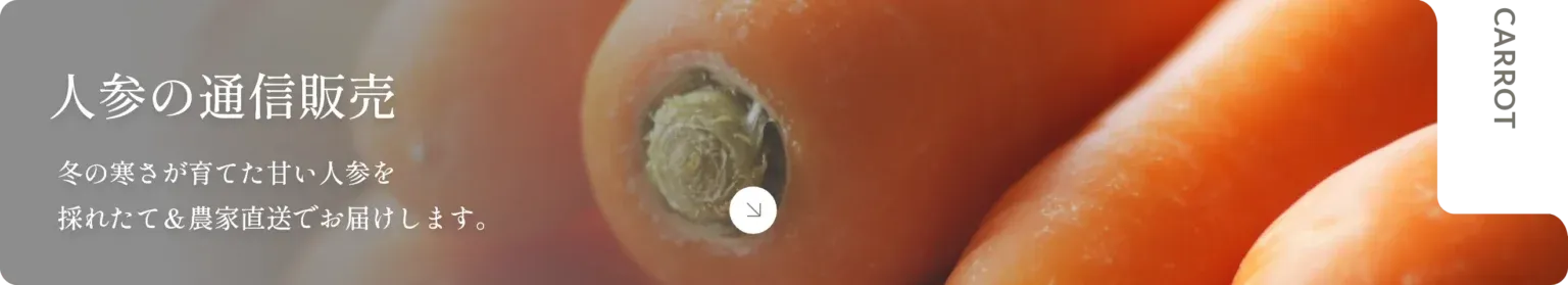 人参の通販