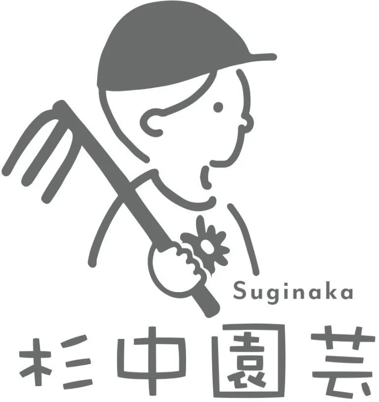 玉ねぎのおすすめを徹底解説！品種選びと美味しい見分け方ガイド