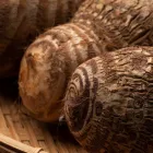 お野菜について